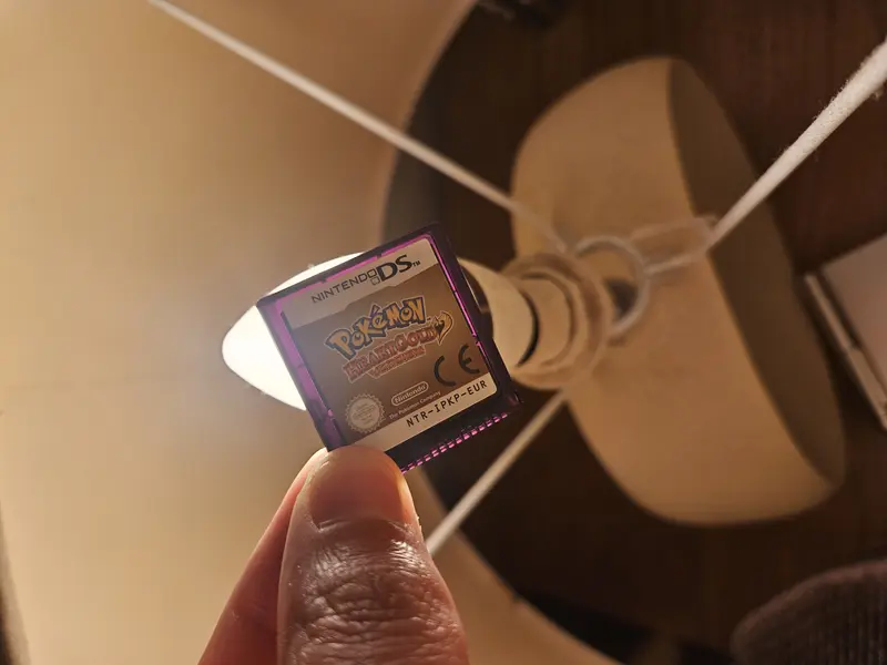 Real DS cartridge